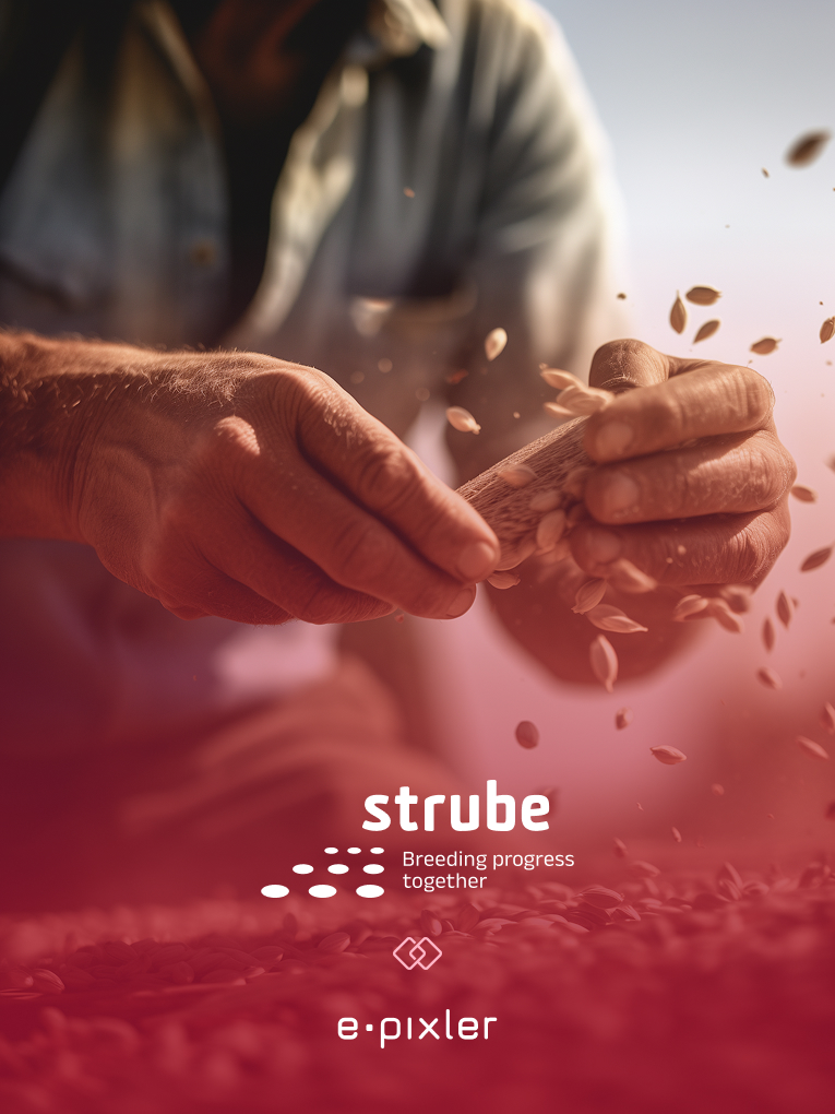 Strube