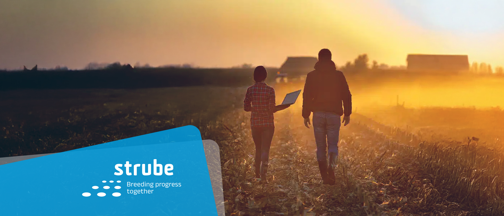 Strube Header